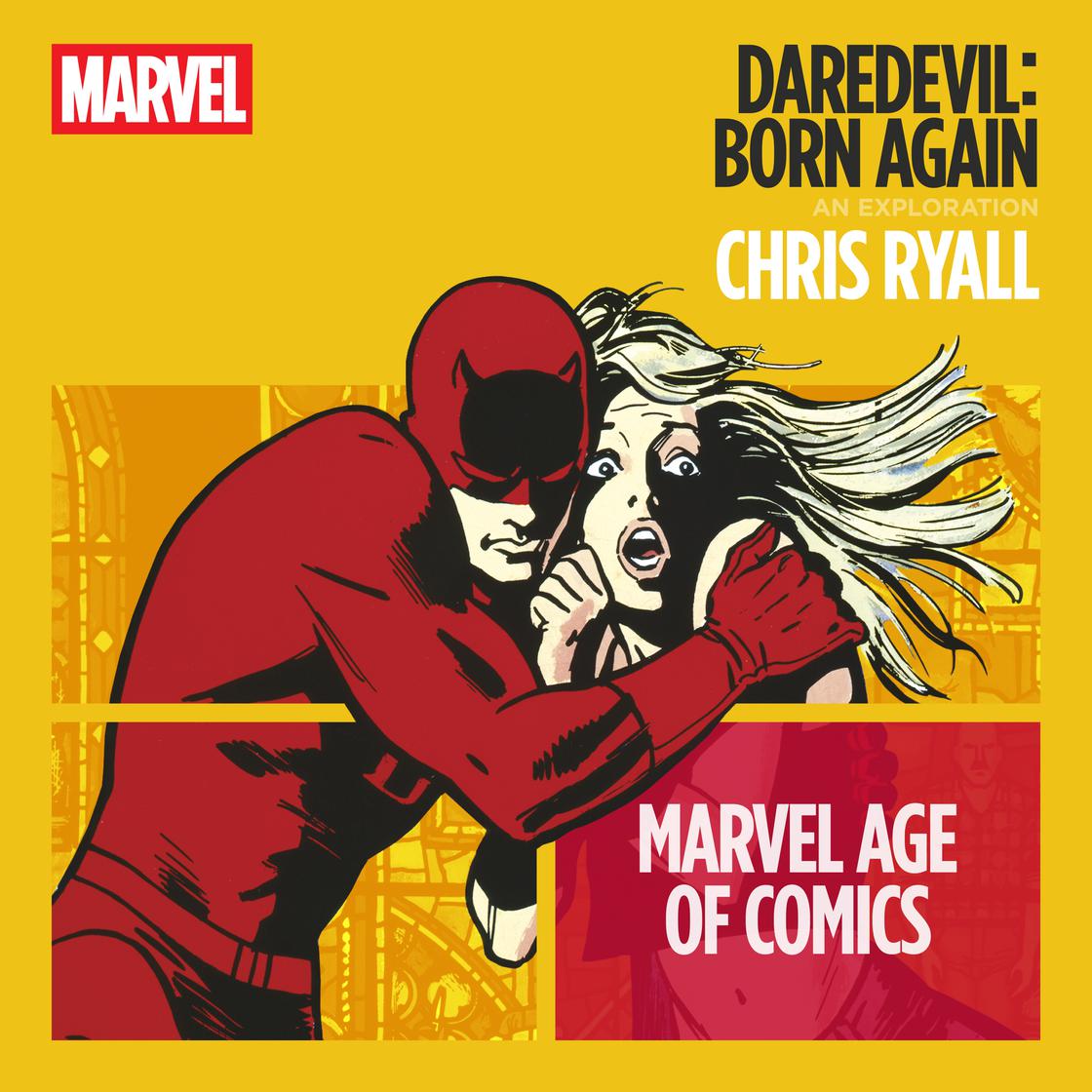 Daredevil Born Again Audiobook Libro.fm