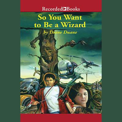 So You Want To Be a Wizard