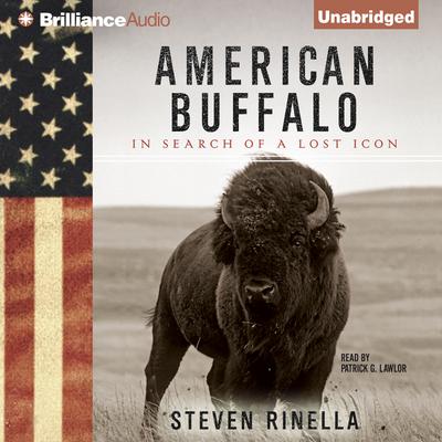 American Buffalo