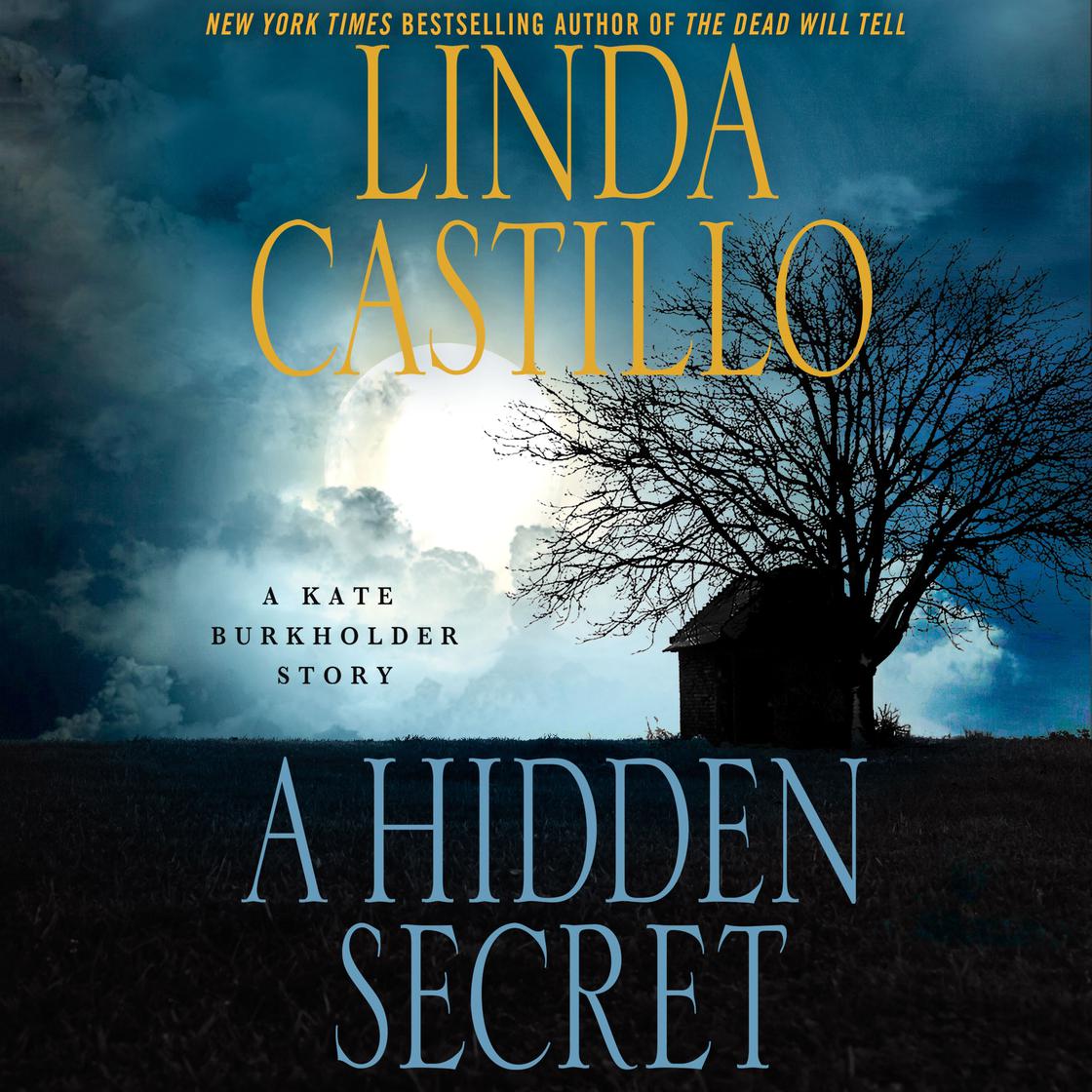 A Hidden Secret by Linda Castillo