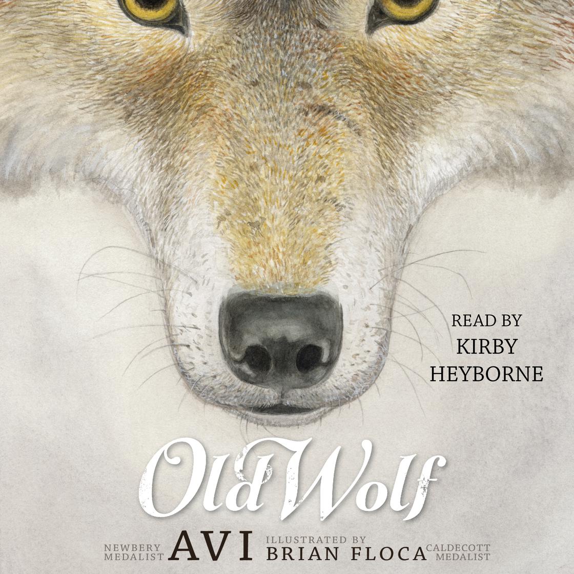 Old Wolf by Avi