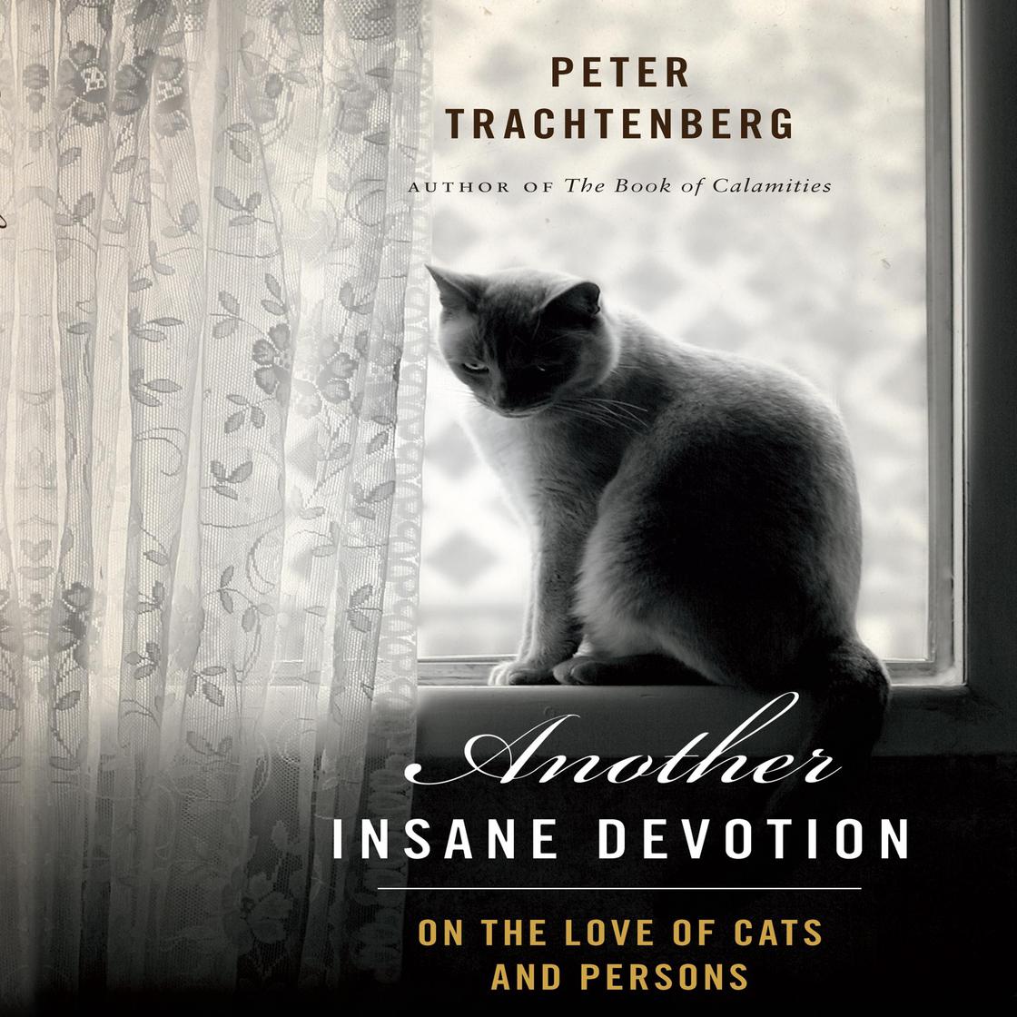 Another Insane Devotion by Peter Trachtenberg