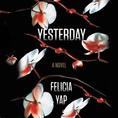 View audiobook of Yesterday by Felicia Yap