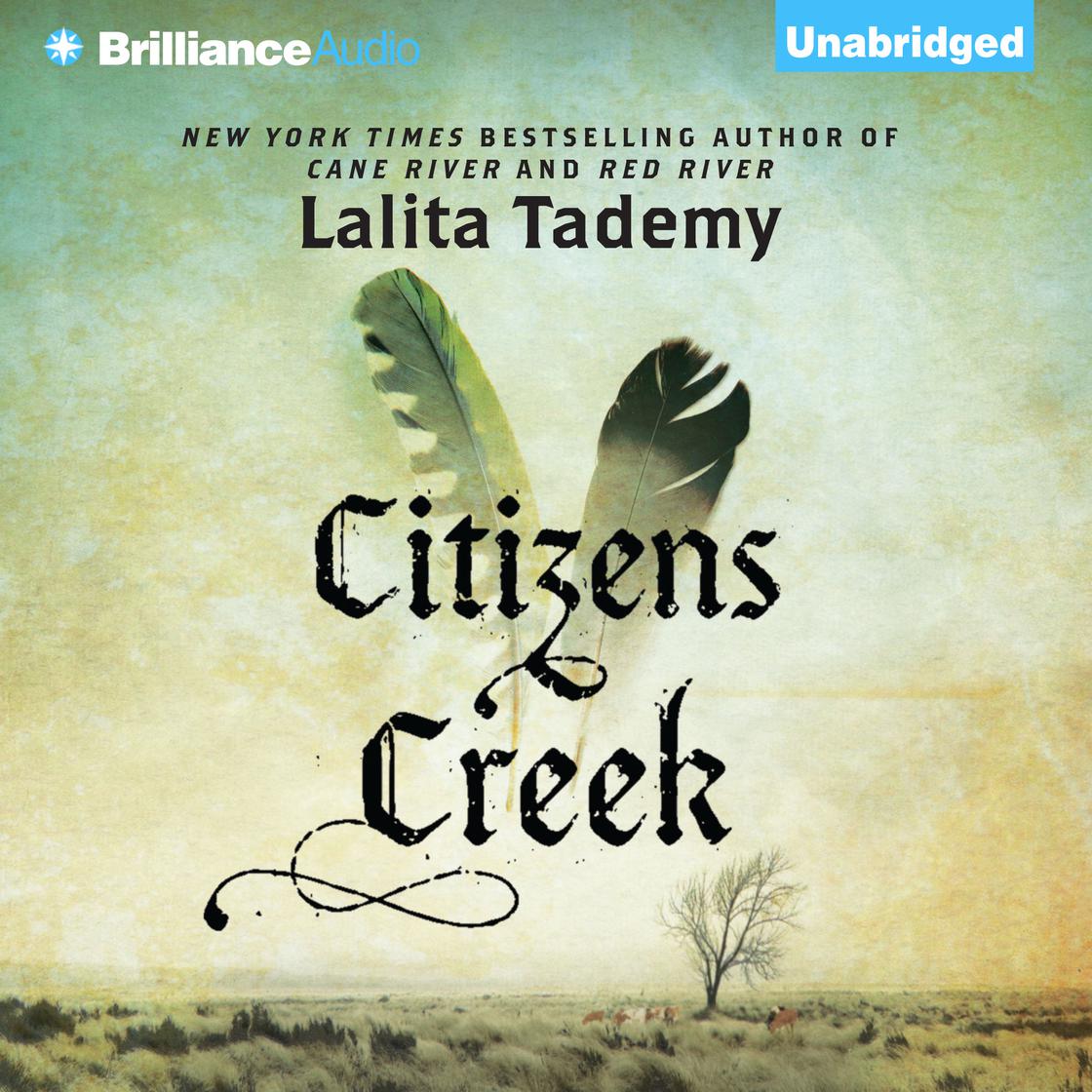 Citizens Creek by Lalita Tademy