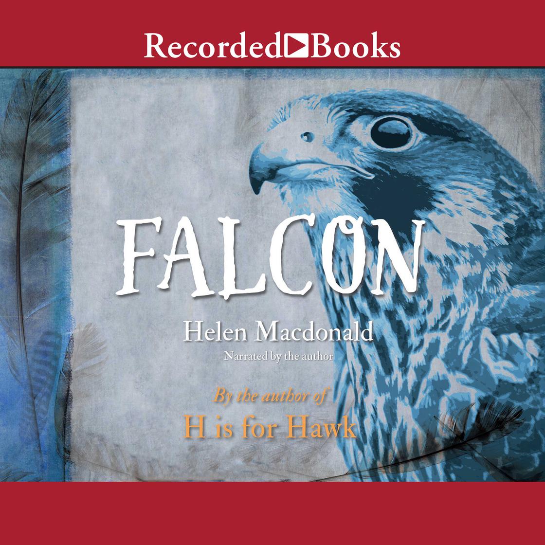 Falcon by Helen Macdonald