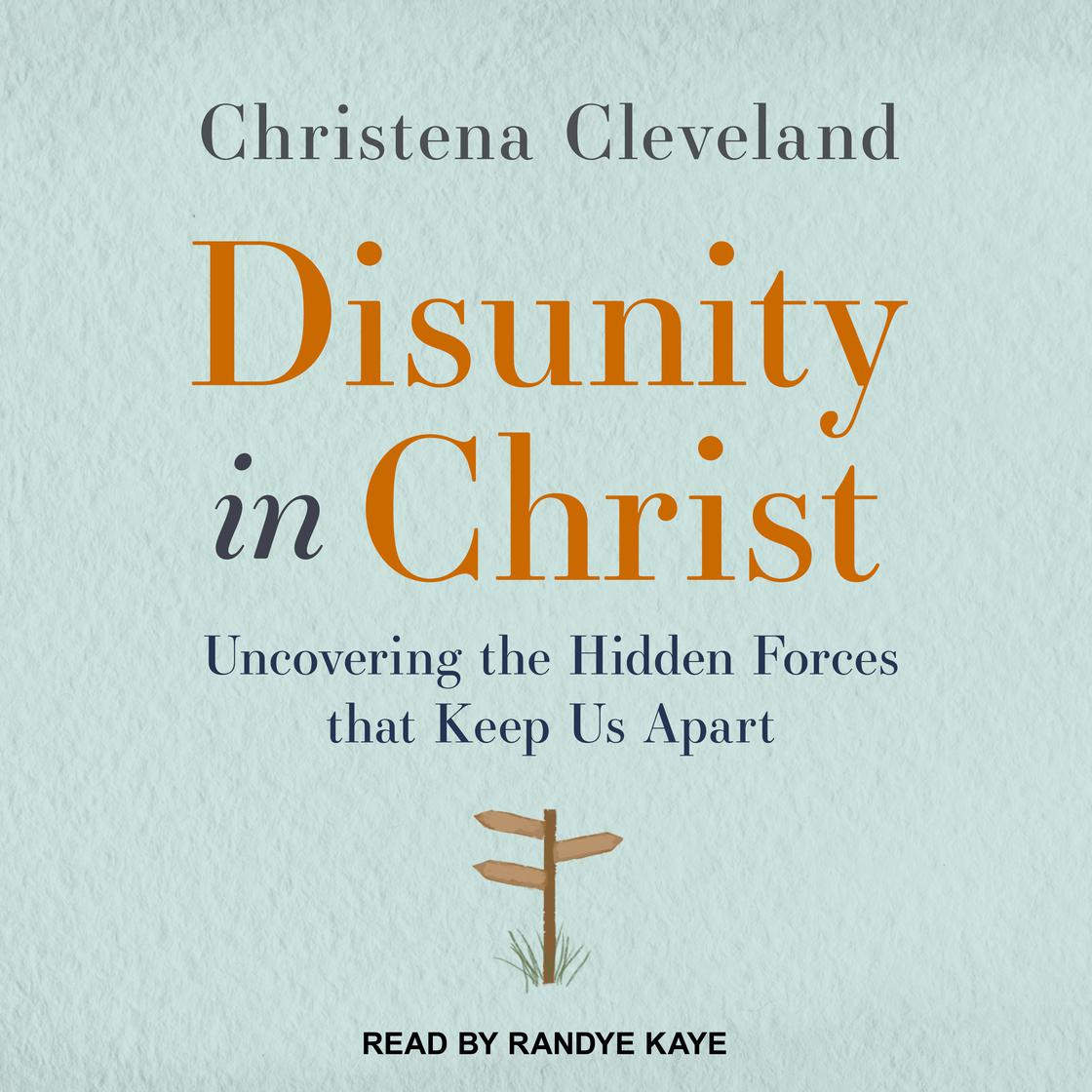 Disunity Chuch Libro.fm | Disunity in Christ Audiobook