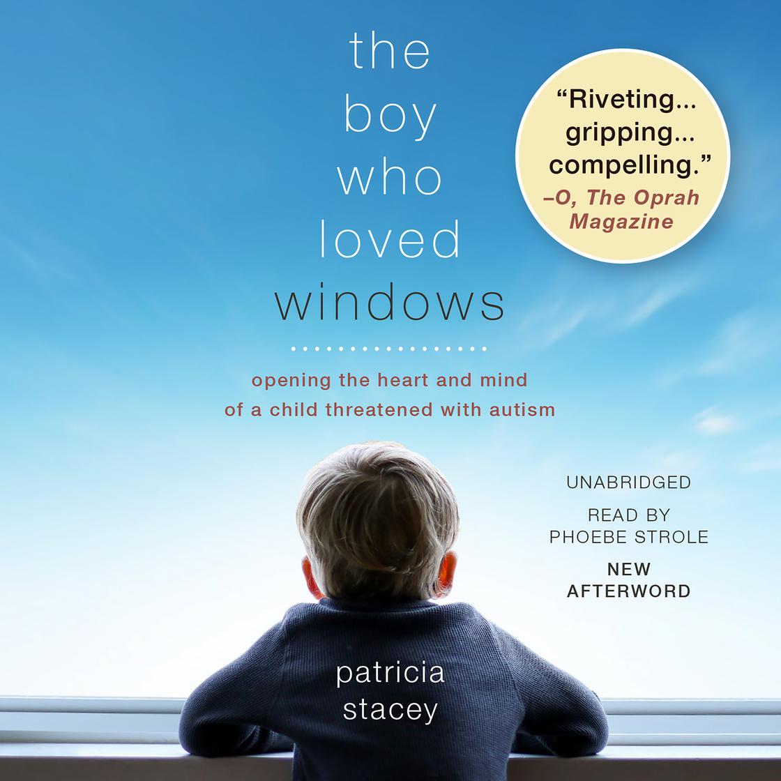 The Boy Who Loved Windows by Patricia Stacey