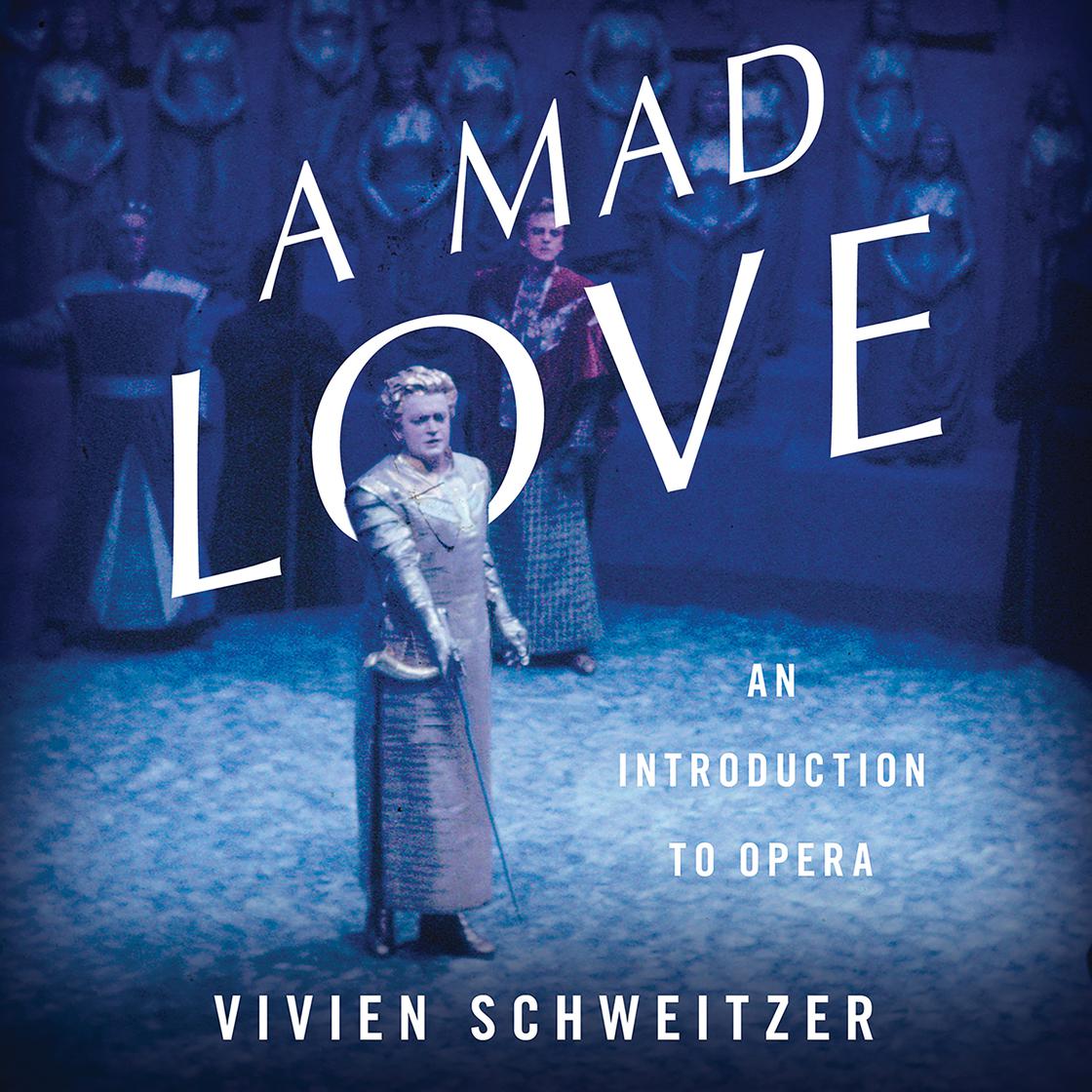 A Mad Love by Vivien Schweitzer