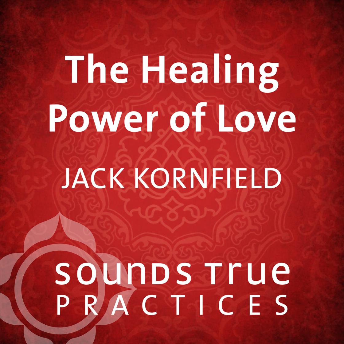 Cover of The Healing Power of Love audiobook
