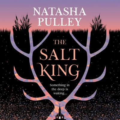 View audiobook of The Salt King by Natasha Pulley