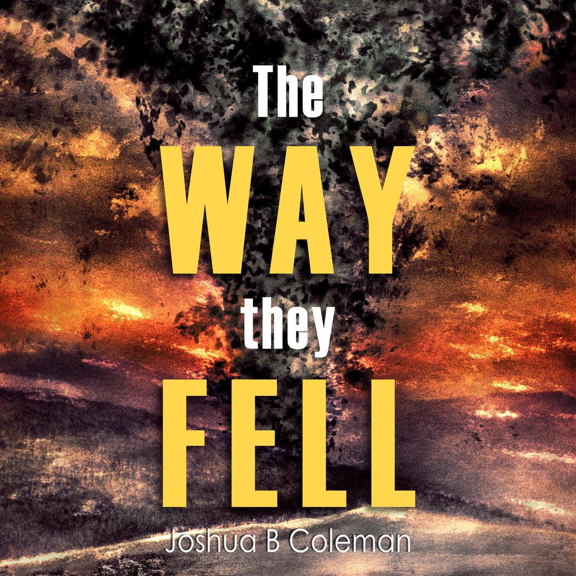 The Way They Fell by Joshua B Coleman