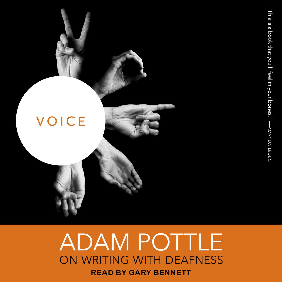 Voice by Adam Pottle