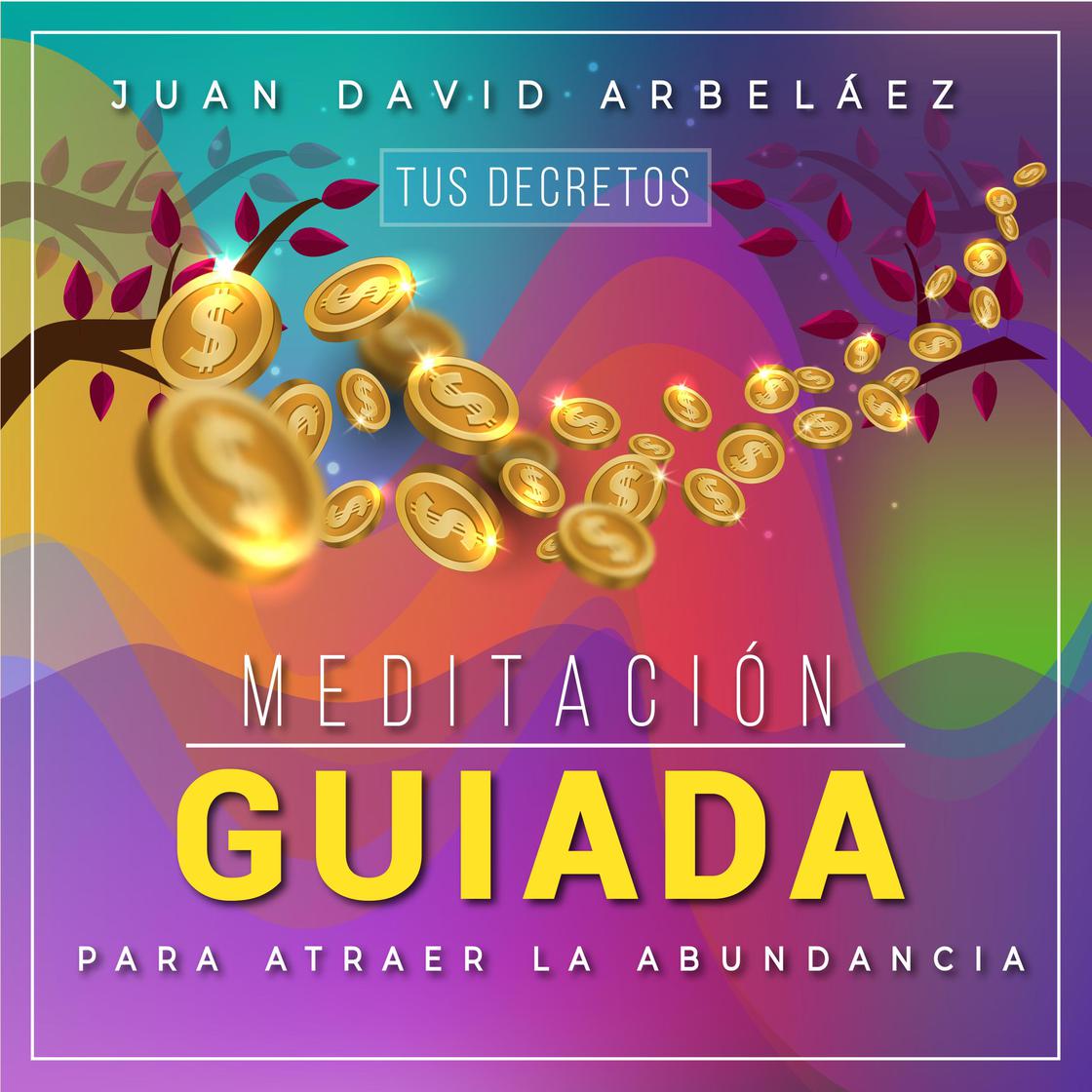 Meditación Guiada para Atraer la Abundancia Audiobook | Libro.fm