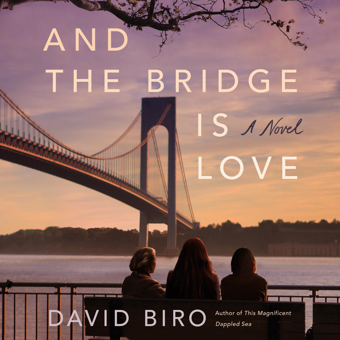 And the Bridge Is Love Audiobook | Libro.fm