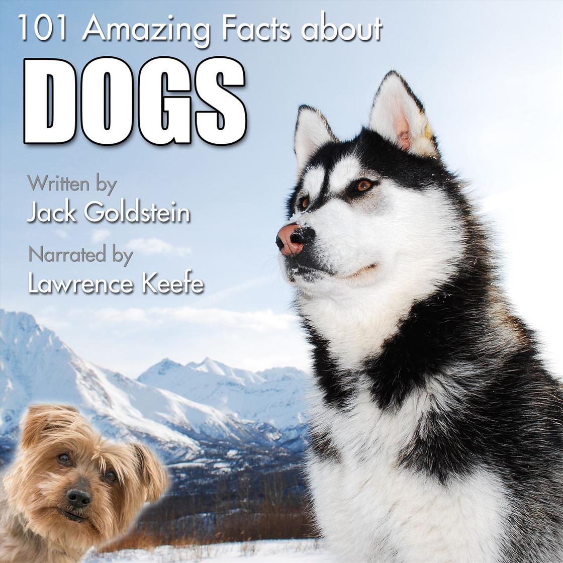 Siberian Husky Malamute Dogs 101 101 Amazing Facts About Dogs