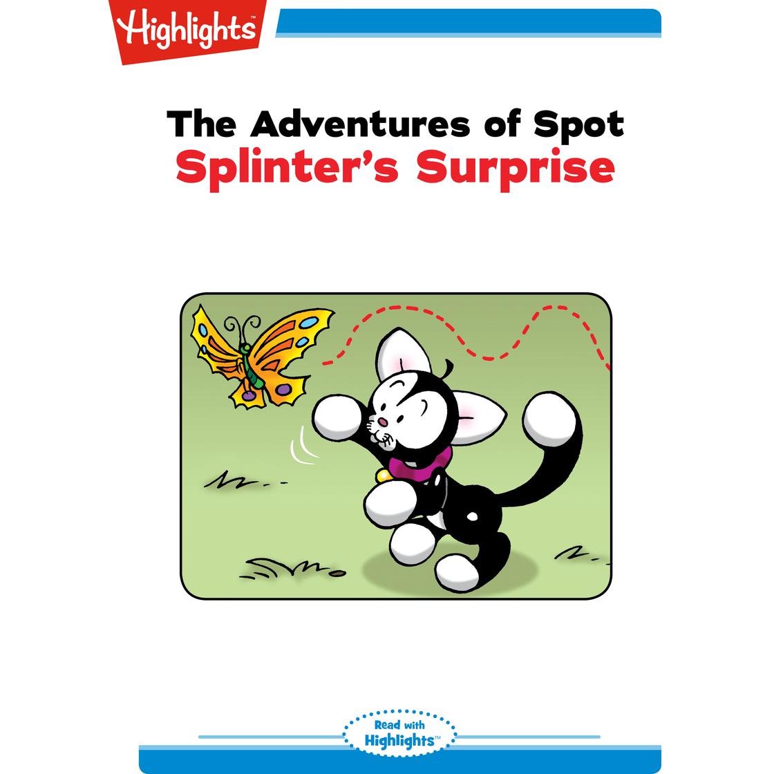 Splinter's Surprise Audiobook | Libro.fm