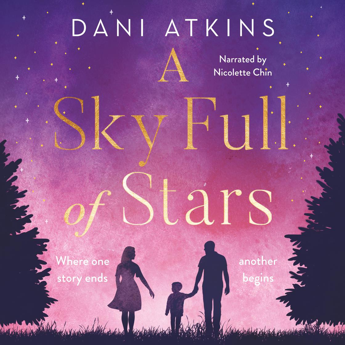 Libro.fm A Sky Full of Stars Audiobook