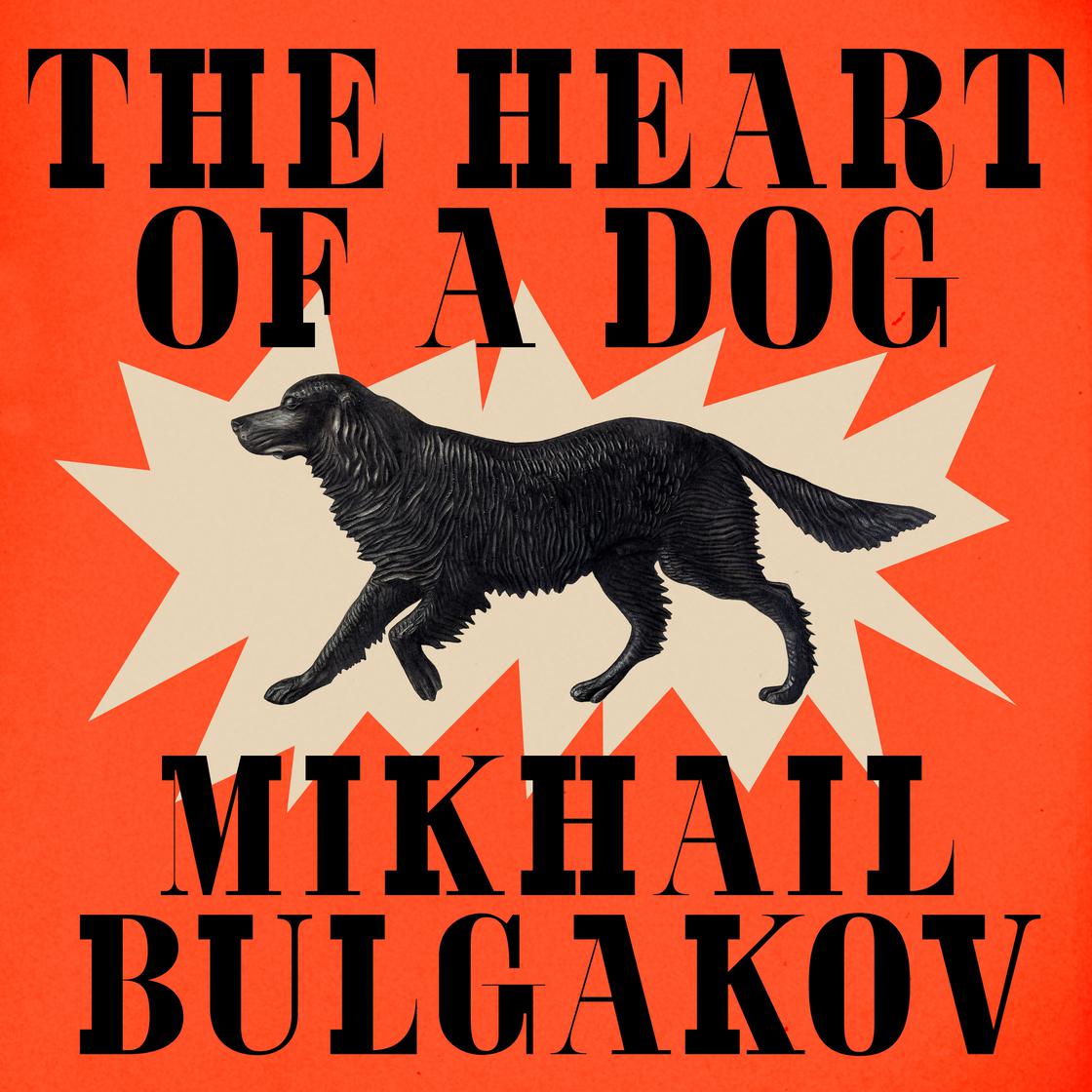 The Heart of a Dog Audiobook | Libro.fm