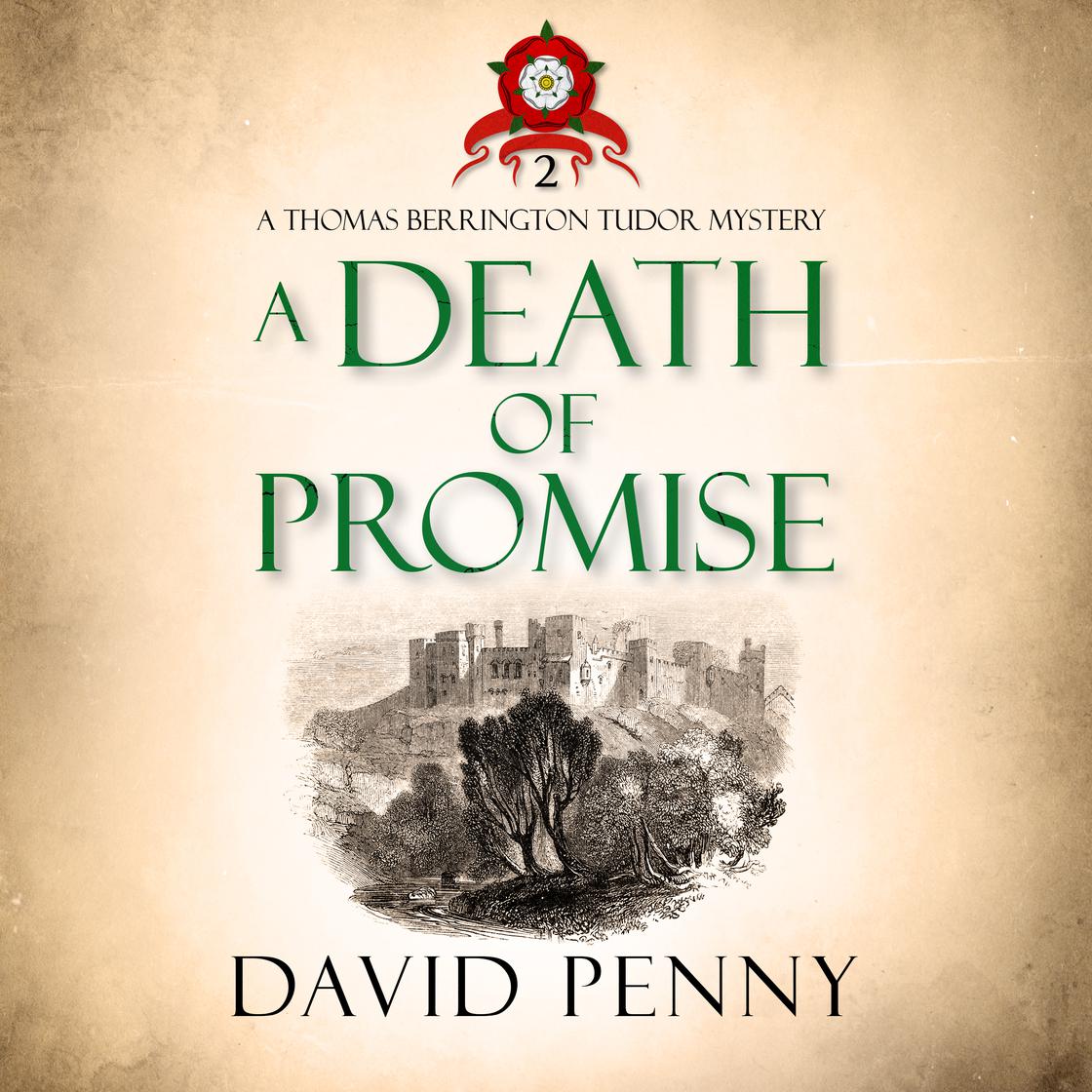 A Death of Promise by David Penny