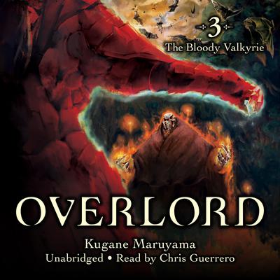Overlord, Vol. 3 (light novel)