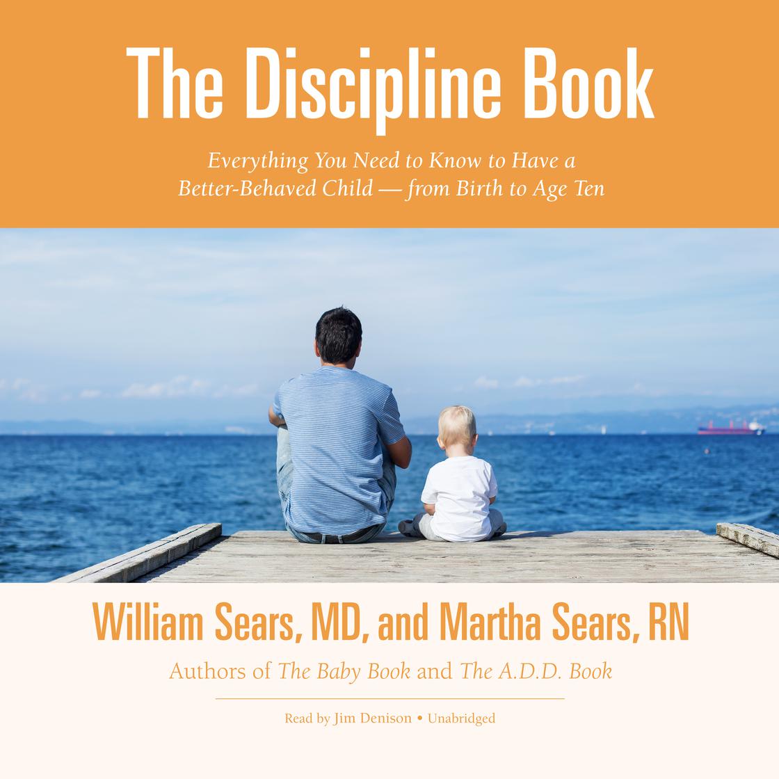 The Discipline Book Audiobook