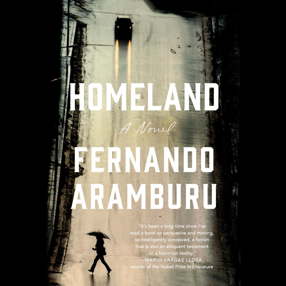 Homeland by Fernando Aramburu