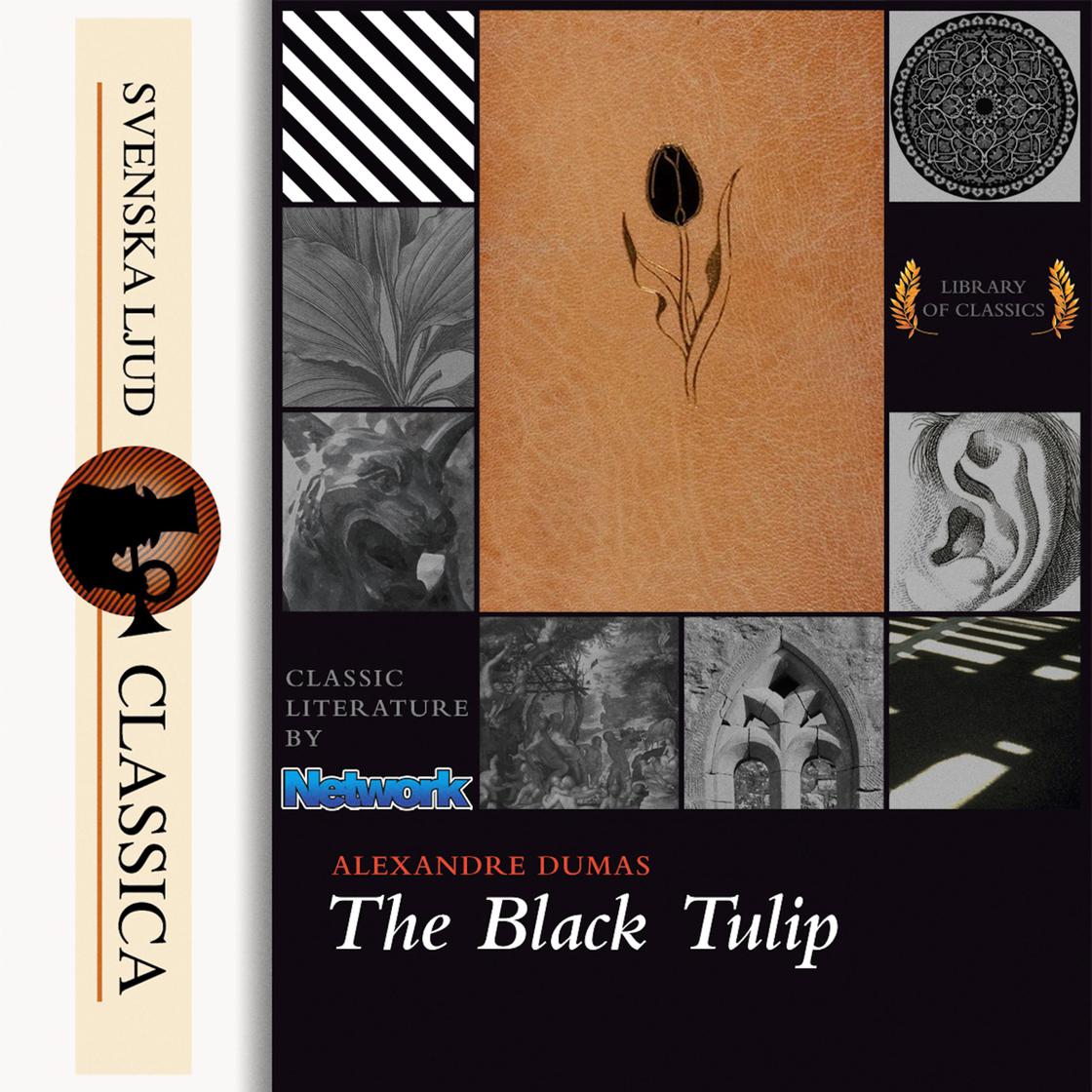 The Black Tulip by Alexandre Dumas