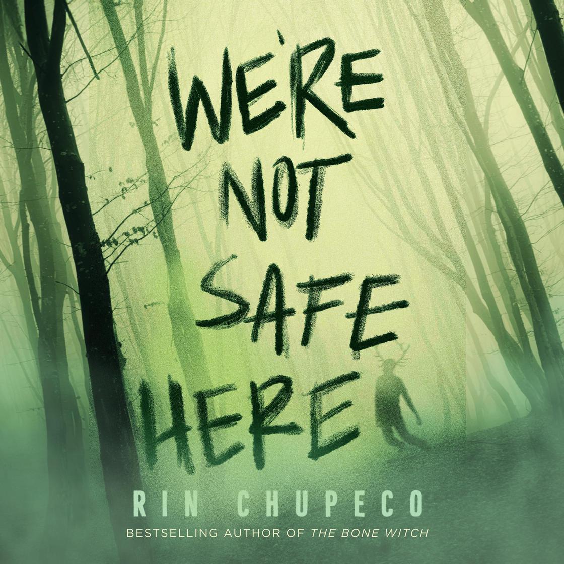 Not Safe We’re Not Safe Here Audiobook | Libro.fm