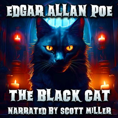The Black Cat