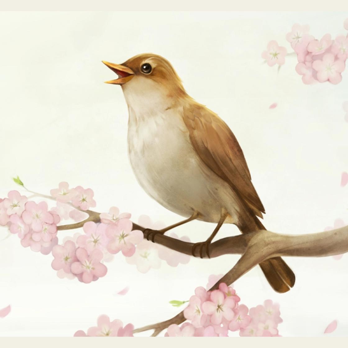 Bedtime Stories - Hans Christian Andersen - The Nightingale - Abridged by Hans Christian Andersen