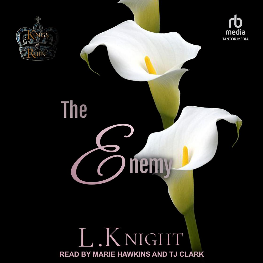 The Enemy by L. Knight