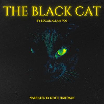 The Black Cat